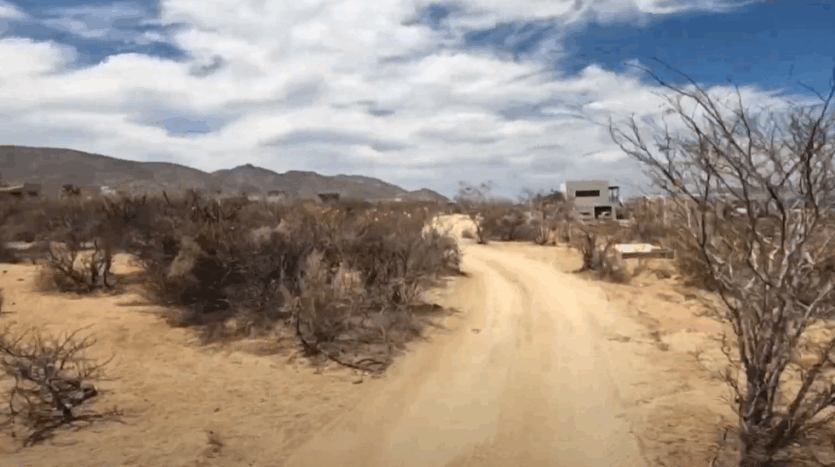 Lote Ballena Gris – El Sargento, B.C.S.